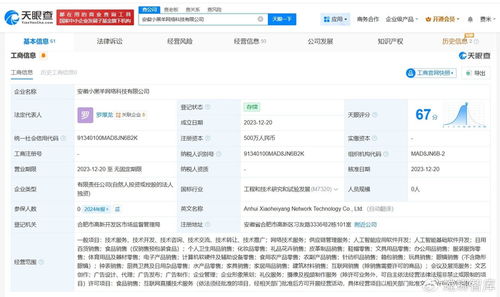 揭秘三只羊美国上市关联公司 网络技术服务如何赋能直播电商生态